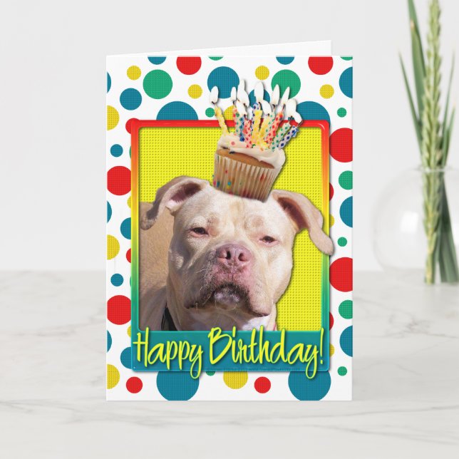 Birthday Cupcake - Pitbull - Jersey Girl Karte (Vorderseite)