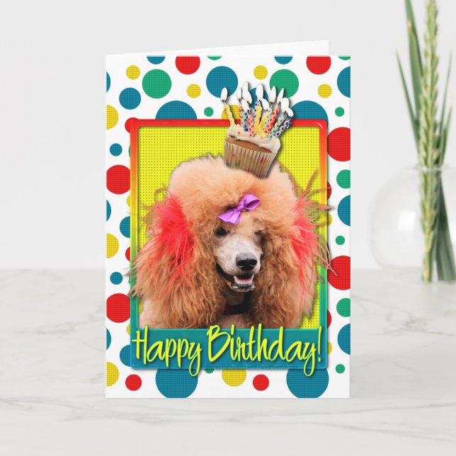 Birthday Cupcake - Poodle - Red Karte (Vorderseite)