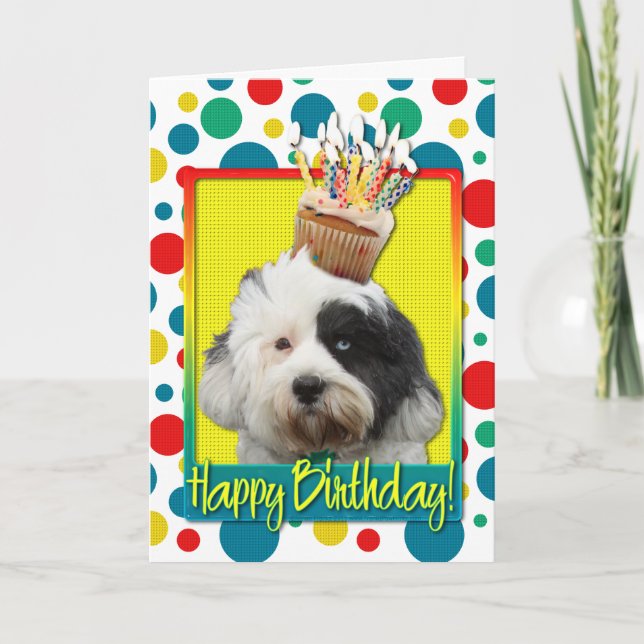Birthday Cupcake - Tibetan Terrier Karte (Vorderseite)