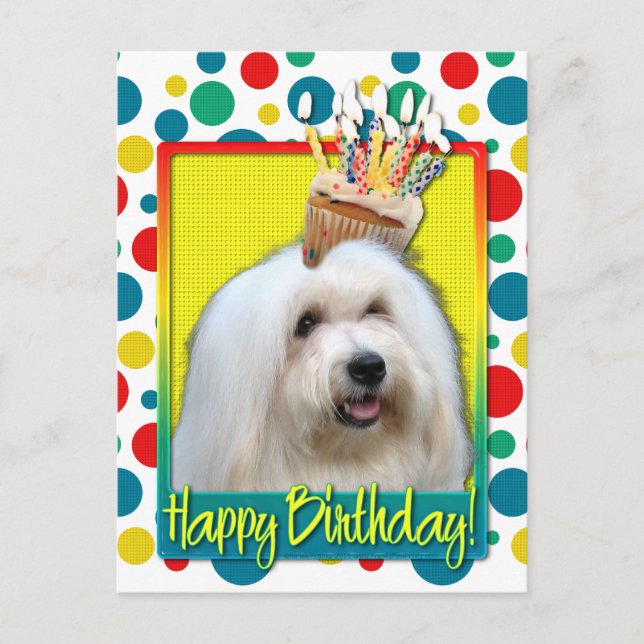 Birthday Cupcake - Tulearbaumwolle Postkarte (Vorderseite)