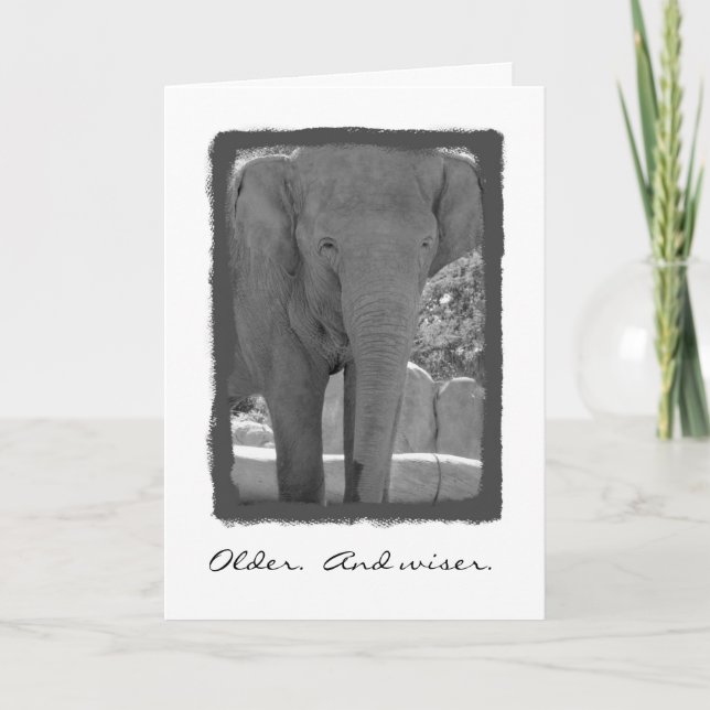 Birthday Elephant Karte (Vorderseite)