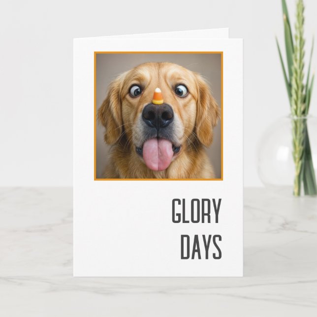 Birthday Golden Retriever With Candy Corn Karte (Vorderseite)
