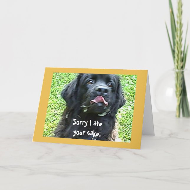 Birthday greeting ~ Newfoundland Dog Karte (Vorderseite)