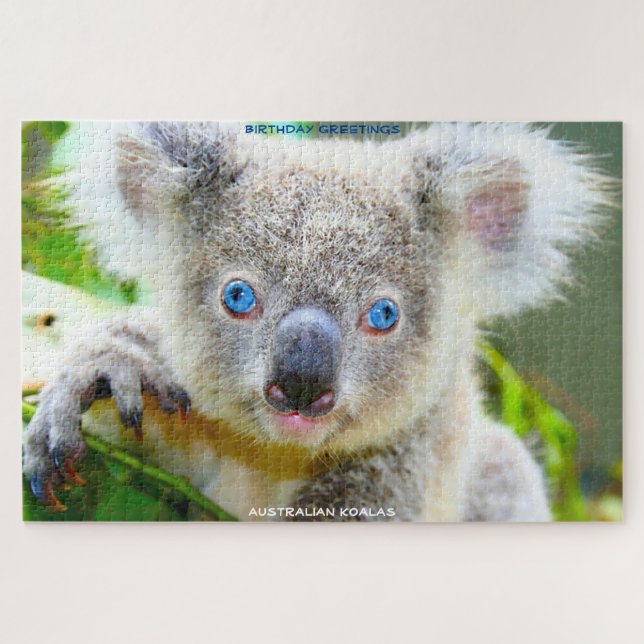 Birthday Greetings Australian Koalas (Horizontal)