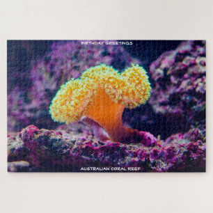 Birthday Greetings Coral Reef Australien