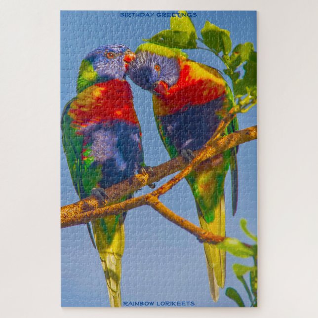 Birthday Greetings Rainbow Lorikeets (Vertikal)