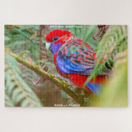 Birthday Greetings Rosella Parrot