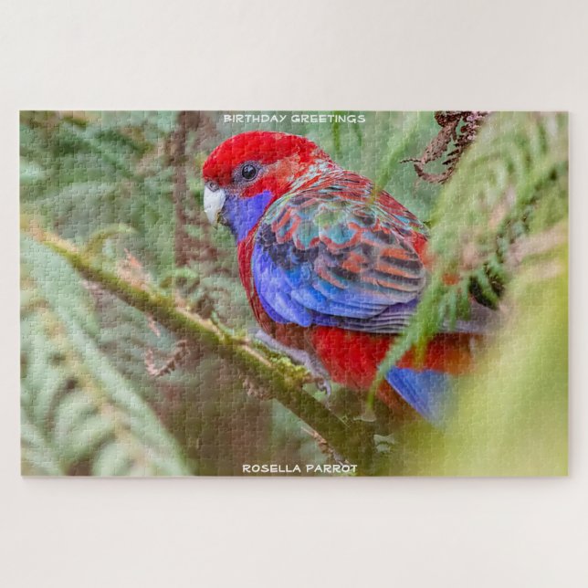 Birthday Greetings Rosella Parrot (Horizontal)