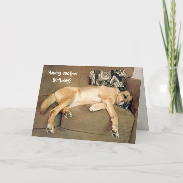 Birthday Hound Dog Karte (Vorderseite)