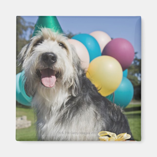 Birthday Hund Magnet (Vorne)