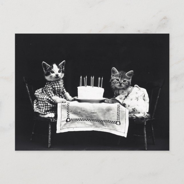 Birthday Kittens Postkarte (Vorderseite)