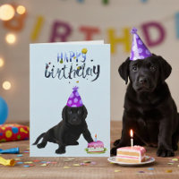 Birthday Labrador Retriever Labrador Black Puppy