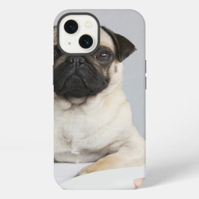 Birthday-Mops iPhone Hülle (Rückseite)