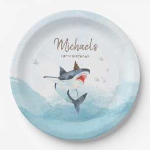 Birthday Paper Plate Pappteller