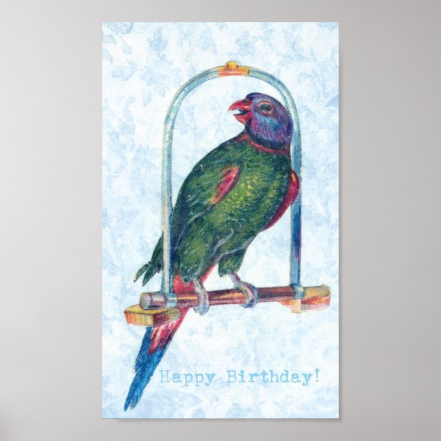 Birthday Parrot Poster (Vorne)