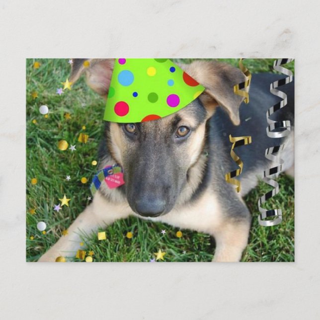 Birthday Party Animal German Shepherd Postkarte (Vorderseite)