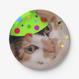 Birthday Party Calico Cat Pappteller