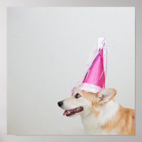 Birthday Pembroke Welsh Corgi Dog