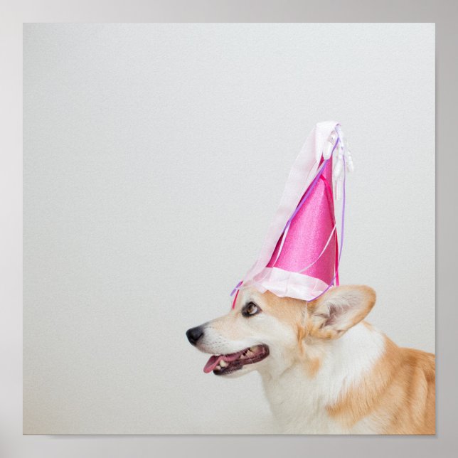 Birthday Pembroke Welsh Corgi Dog Poster (Vorne)