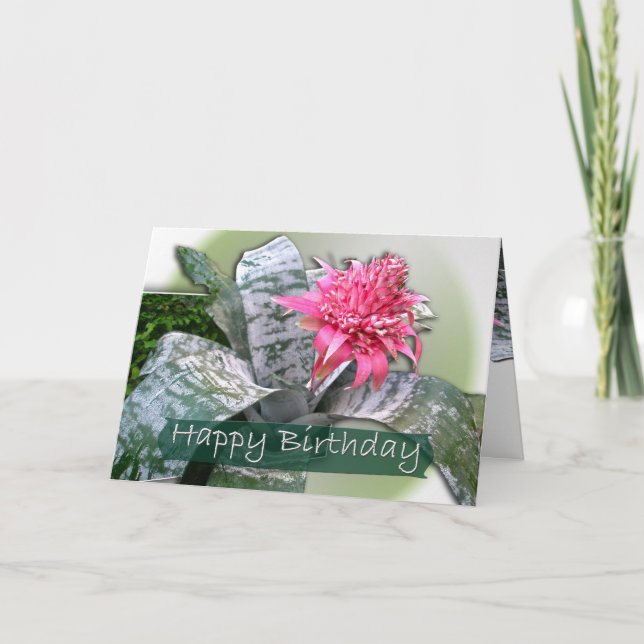 Birthday Pink Bromeliad Karte (Vorderseite)