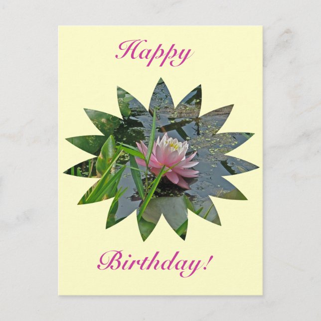 Birthday Pink Water Lily Postkarte (Vorderseite)