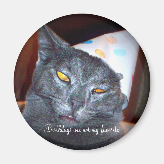 Birthday Pooper Magnet (Vorne)