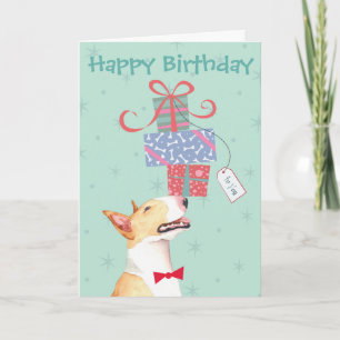 Birthday präsentiert Bull Terrier Karte