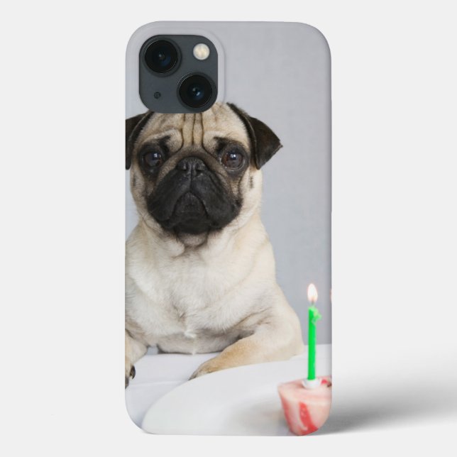 Birthday Pug Case-Mate iPhone Hülle (Rückseite)