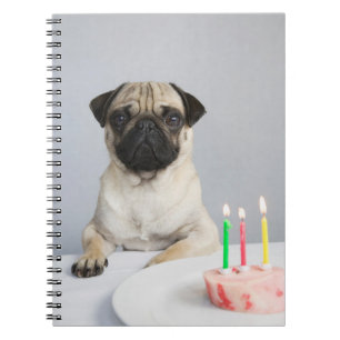 Birthday Pug Notizblock