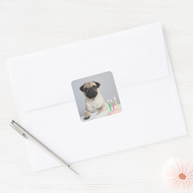 Birthday Pug Quadratischer Aufkleber (Umschlag)