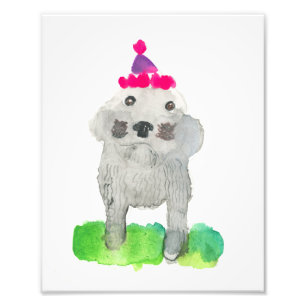Birthday Pup Print Fotodruck