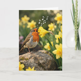 Birthday Robin Singing into a Spring Daffodil Karte