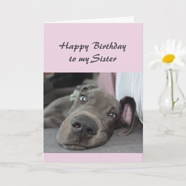 Birthday Sister Fun Dog Definition von Relax Spaß Karte (Kleine Pflanze)