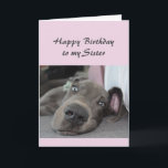 Birthday Sister Fun Dog Definition von Relax Spaß Karte<br><div class="desc">Herzlichen Glückwunsch zum Geburtstag Sister Definition von Relax Spaß Gruß mit niedlichen entspannenden Great Dane Hund</div>