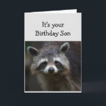 Birthday Son Fun Age Spaß Sad Raccoon Spaß Card Karte<br><div class="desc">Blahs zum Geburtstag für Ihr Son Fun Age Nur weil Sie eine Menge davon gehabt haben.  Humorale depressive Raccoon</div>