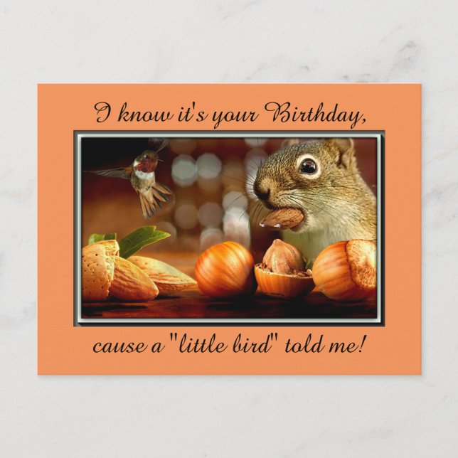 Birthday Squirrel Postkarte (Vorderseite)