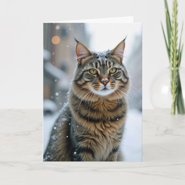 Birthday Street Cat in Snow Karte (Vorderseite)