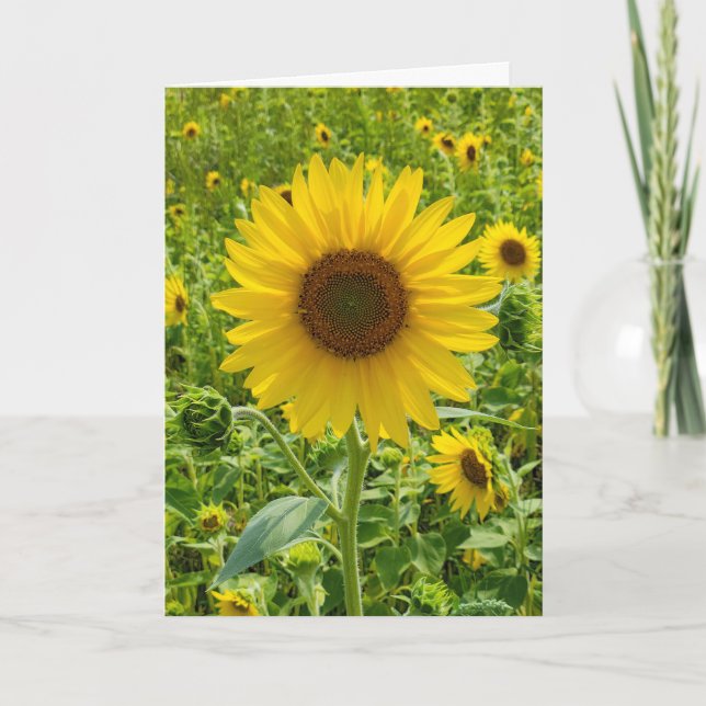 Birthday Sunflower Karte (Vorderseite)