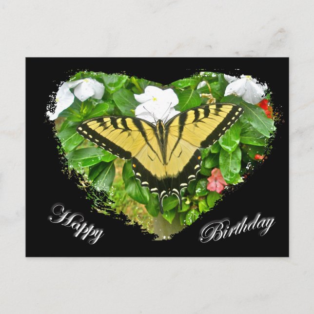 Birthday Tiger Frack Butterfly Items Postkarte (Vorderseite)