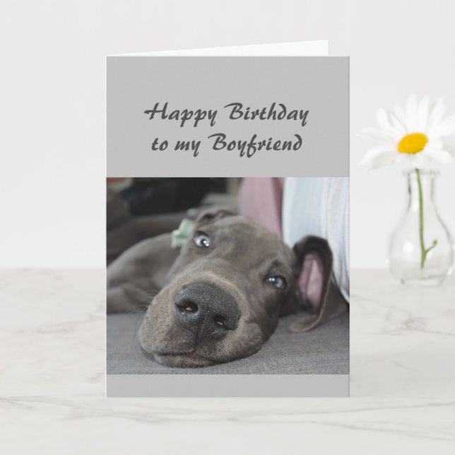 Birthday to my Boyfriend Fun Dog Relax Humor Karte (Kleine Pflanze)