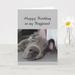 Birthday to my Boyfriend Fun Dog Relax Humor Karte<br><div class="desc">Happy Birthday to my Boyfriend definition of Relax Humor Greeting with cute relaxing Great Dane Dog</div>
