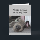 Birthday to my Boyfriend Fun Dog Relax Humor Karte<br><div class="desc">Happy Birthday to my Boyfriend definition of Relax Humor Greeting with cute relaxing Great Dane Dog</div>