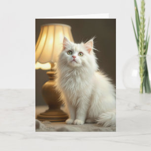 Birthday Weiße Katze sitzend in warmen Lampen Karte