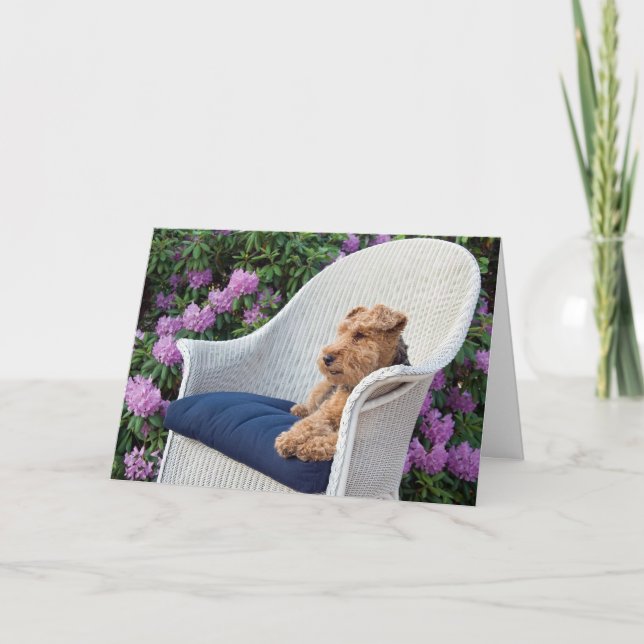 Birthday Welsh Terrier auf dem Vorsitz Karte (Vorderseite)