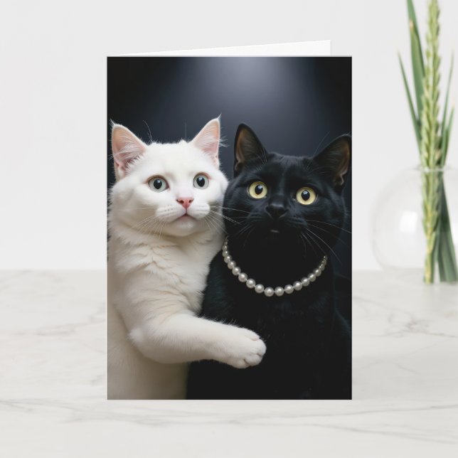Birthday White Cat umarmt eine schwarze Katze Karte (Vorderseite)