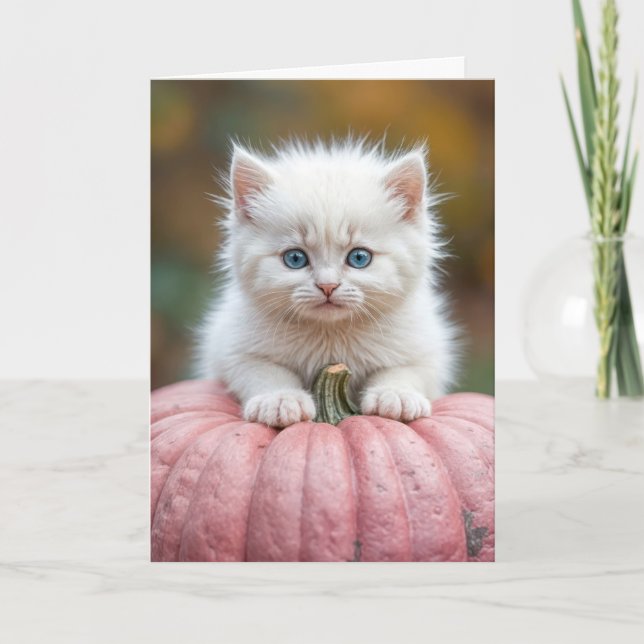Birthday White Kitten on Pink Pumpkin Karte (Vorderseite)