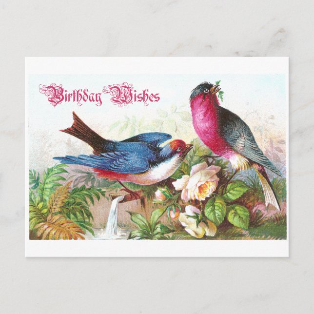 Birthday Wises Postkarte (Vorderseite)
