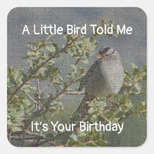 Birthday wünscht Funny Umschlag Aufkleber Little B