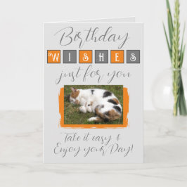 Birthday wünscht Katzengrau-Foto hinzufügen Karte