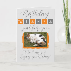Birthday wünscht Katzengrau-Foto hinzufügen Karte
